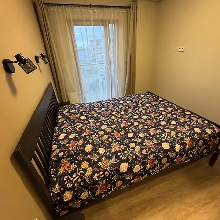 Lovely Flat With Great Location Apartman Kaunas