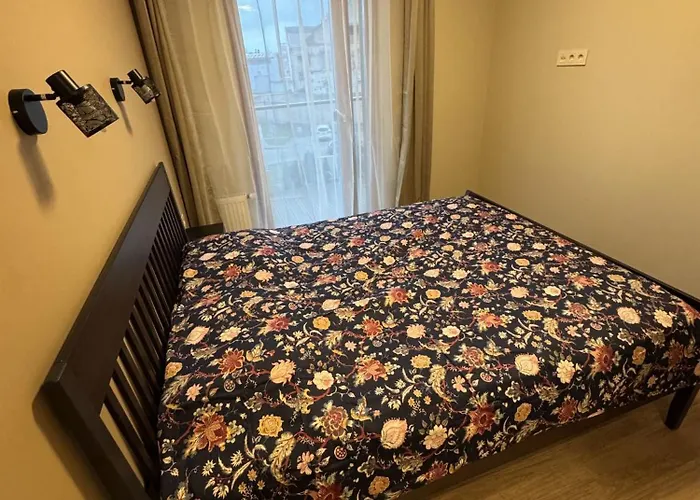 Lovely Flat With Great Location Appartement Kaunas